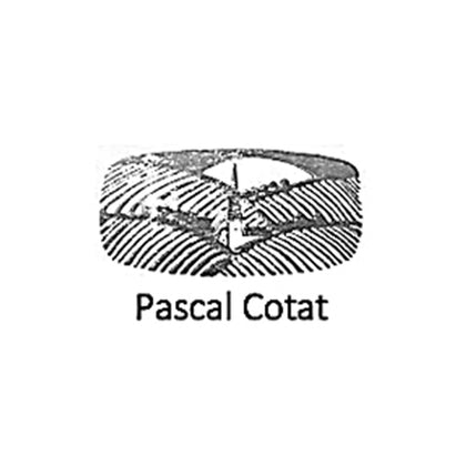 Domaine Pascal Cotat | The Winehouse